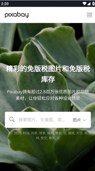 pixabay