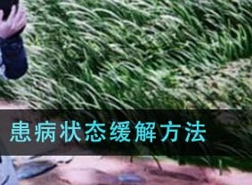 燕云十六声患病状态怎么缓解？ 患病状态缓解方法