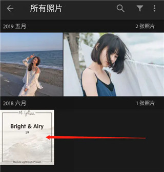Lightroom手机版DNG格式预设保存教程