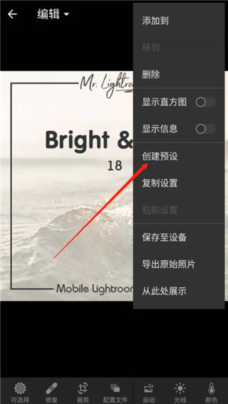 Lightroom手机版DNG格式预设保存教程