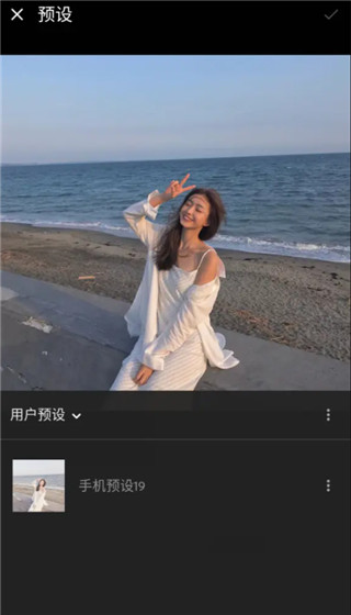 Lightroom手机版DNG格式预设保存教程