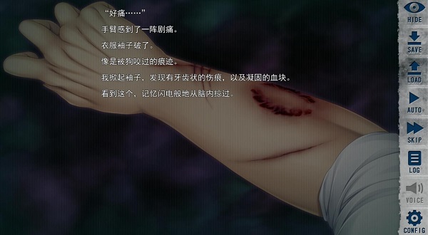 末世孤雄2