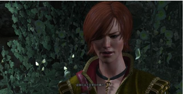 巫师三狂猎石之心DLC全流程攻略  第二节：阳间派对（1）