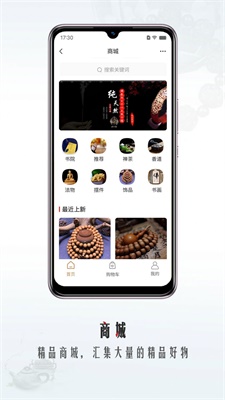 智善芸