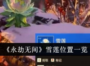 永劫无间雪莲在哪里 永劫无间雪莲位置分享