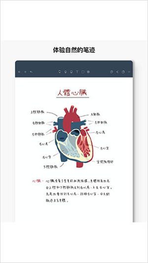 Noteshelf安卓版