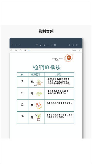 Noteshelf安卓版