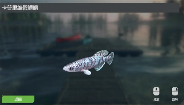 终极钓鱼模拟器卡里巴大坝DLC实用攻略