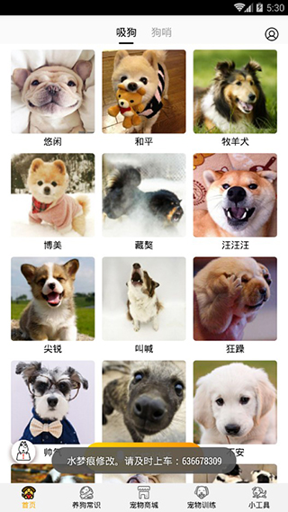 狗语翻译器免费版使用方法