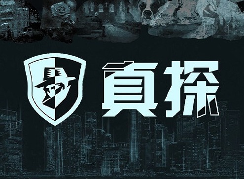 真探游戏攻略大全 真探游戏攻略案件二