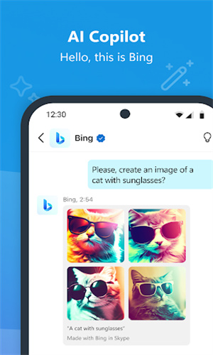 skype官网版