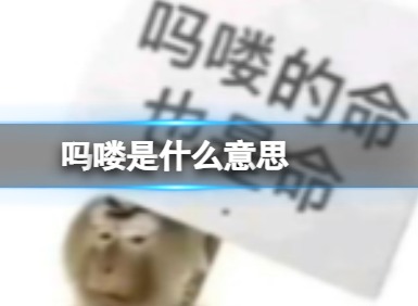 吗喽是什么意思 网络用语吗喽的意思