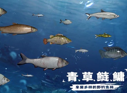 天天钓鱼怎么钓到龙 天天钓鱼钓龙技巧分享