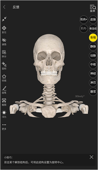3dbody解剖app使用教程