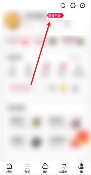 天猫app查看积分方法