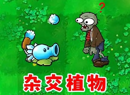 潜艇伟伟迷植物大战僵尸杂交版修改了哪些内容 杂交版植物图鉴