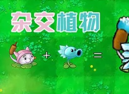 植物大战僵尸杂交版报错怎么办 植物大战僵尸杂交版报错解决方法