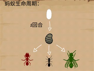 最后的蚂蚁各个功能介绍