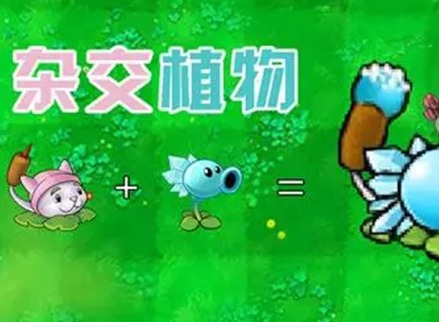 植物大战僵尸杂交版贴图异常怎么办 PVZ杂交版贴图异常解决方法