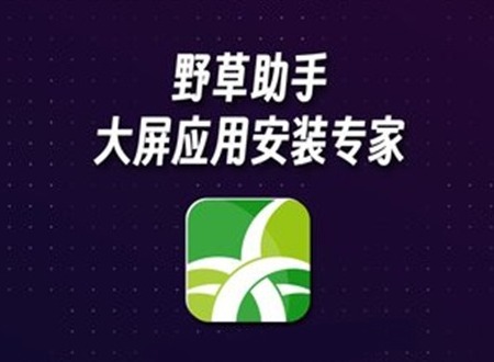 野草助手口令大全最新2024版 2024野草助手口令分享码