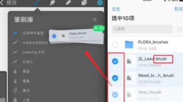 Procreate怎么导入笔刷