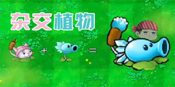杂交版植物大战僵尸排行榜