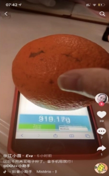 屏幕电子秤touchscale