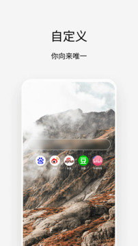 Vie浏览器