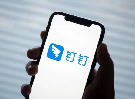 钉钉没加入考勤组怎么解决 钉钉未加入考勤组方法