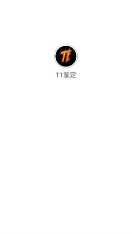 T1鉴定最新版