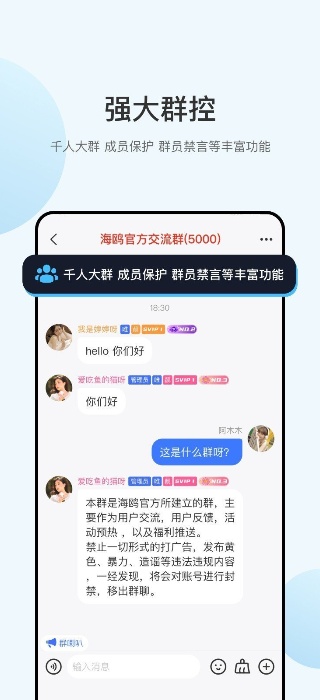 海鸥im软件正式版
