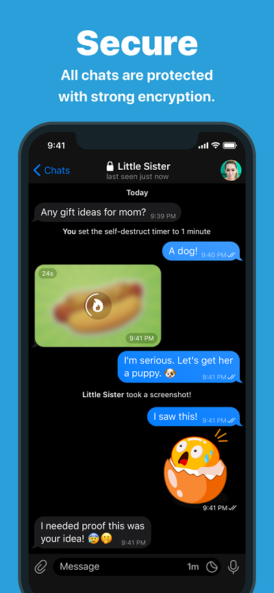 旧版telegram