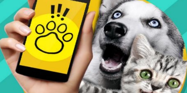 猫狗语言翻译软件排行榜