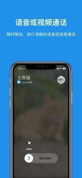 信号语音安卓版