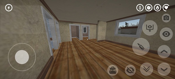 dayz
