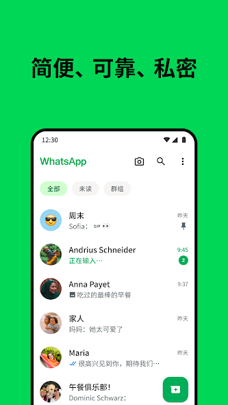 whatsapp国内