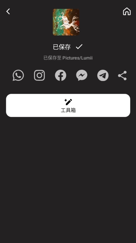 Lumii最新版使用方法