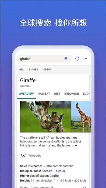 NEWBING