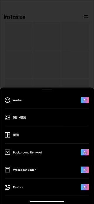 instasize正版