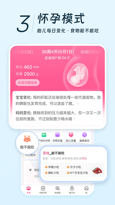 美柚苹果版