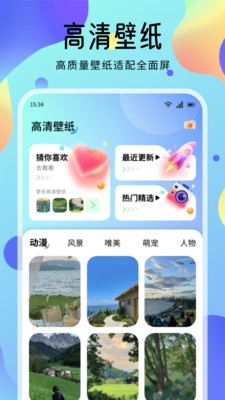 海豚壁纸