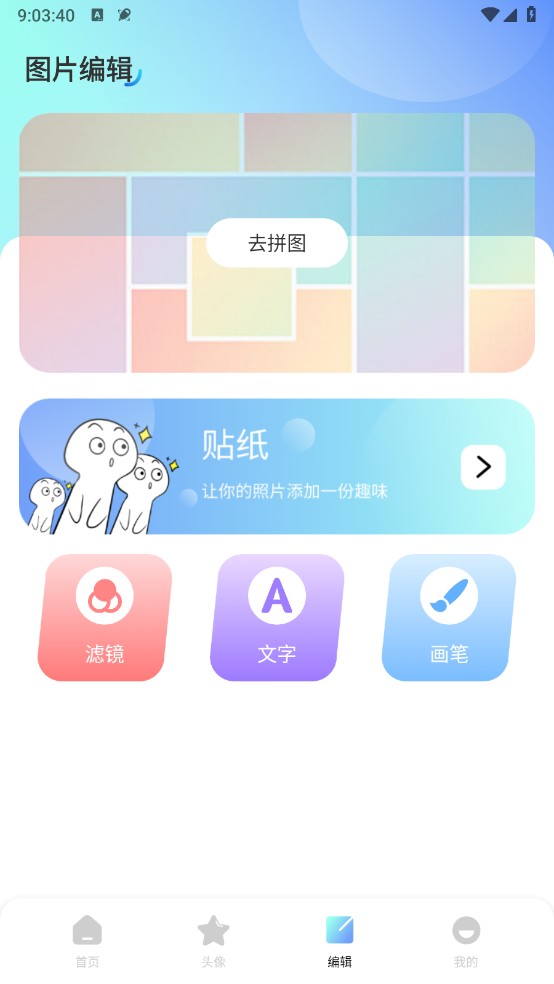 海豚壁纸