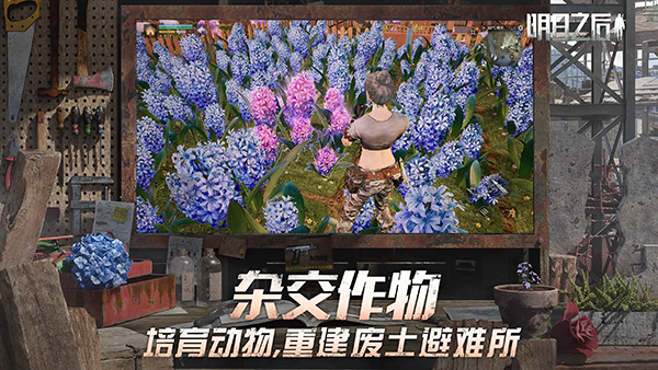 明日之后