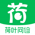 荷叶问诊