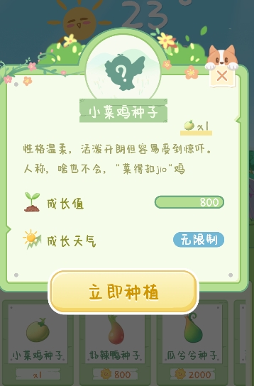 菜宠天气