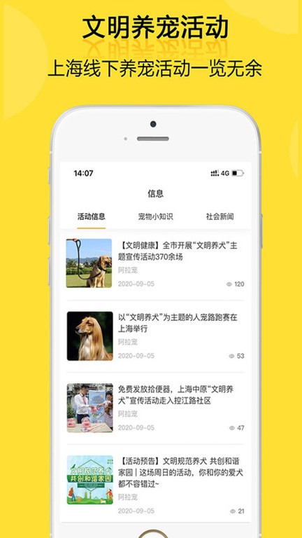 阿拉宠