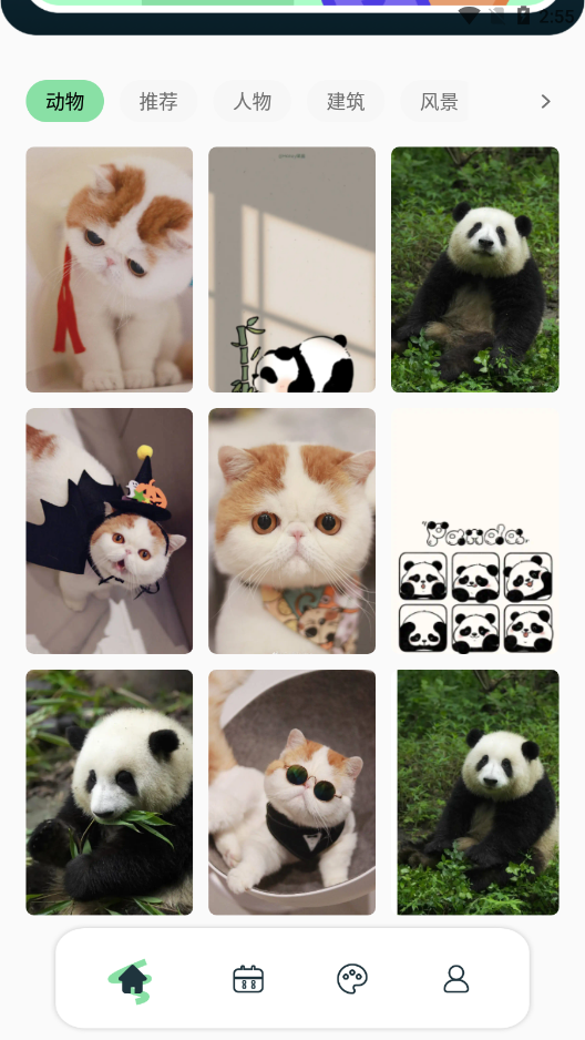 景深壁纸