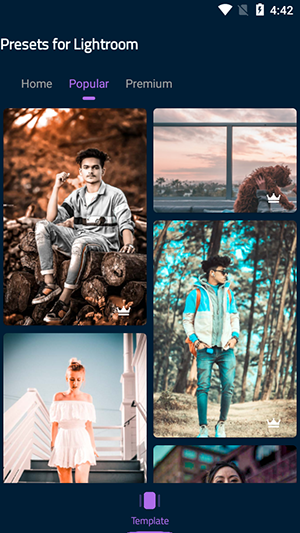 Lr Presets