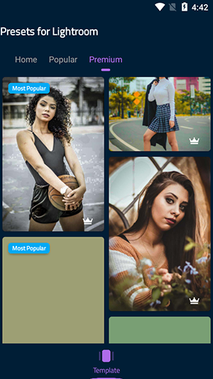 Lr Presets
