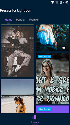 Lr Presets